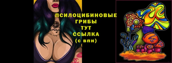 соль ск Алексеевка