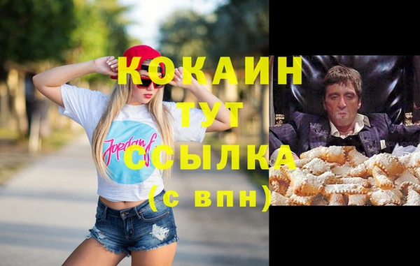 соль ск Алексеевка