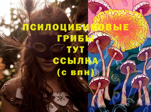 марки nbome Алзамай